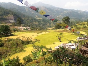 Mango Tree Permaculture, Nepal