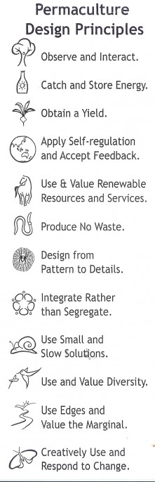 Holmgren design principles