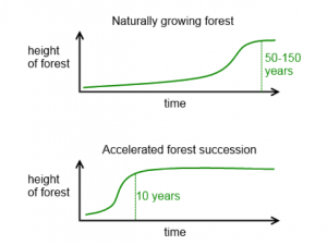 accelerating-succession