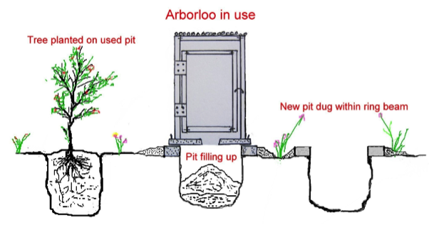 arborloo