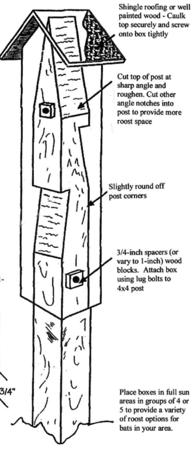 bat-box