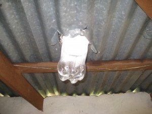 bottle-light-suncampdr