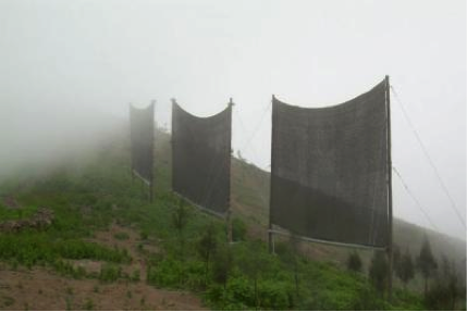 fog-nets-cape-verde