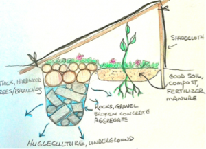 Sketch of garden, Kailash Akhara, Thailand