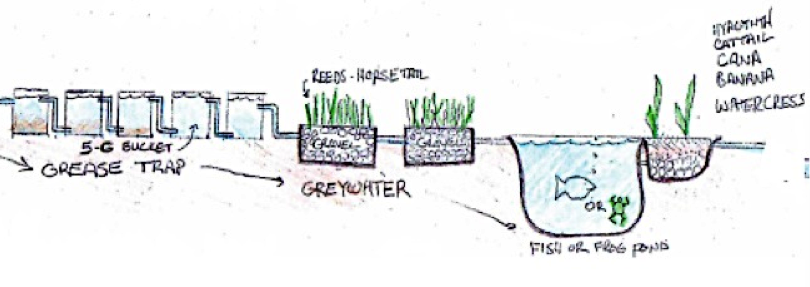 greywater-design