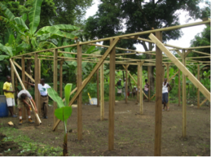 haiti-greenhouse1