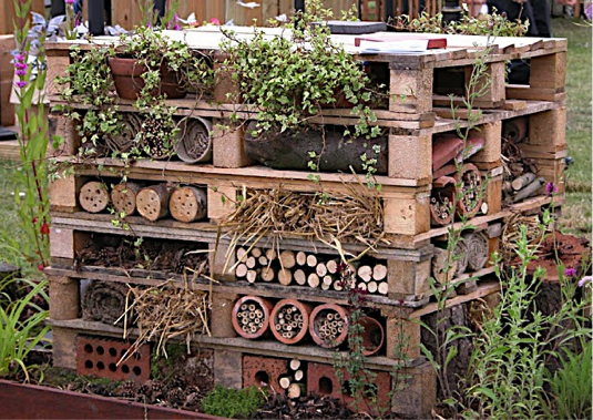 insect-hotel