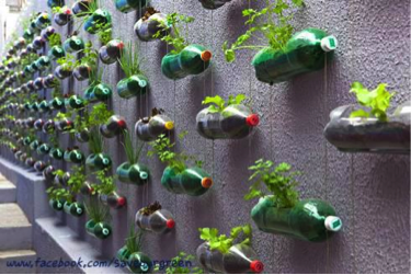 plastic-bottle-garden-wall