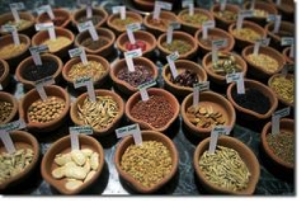 seed-saving